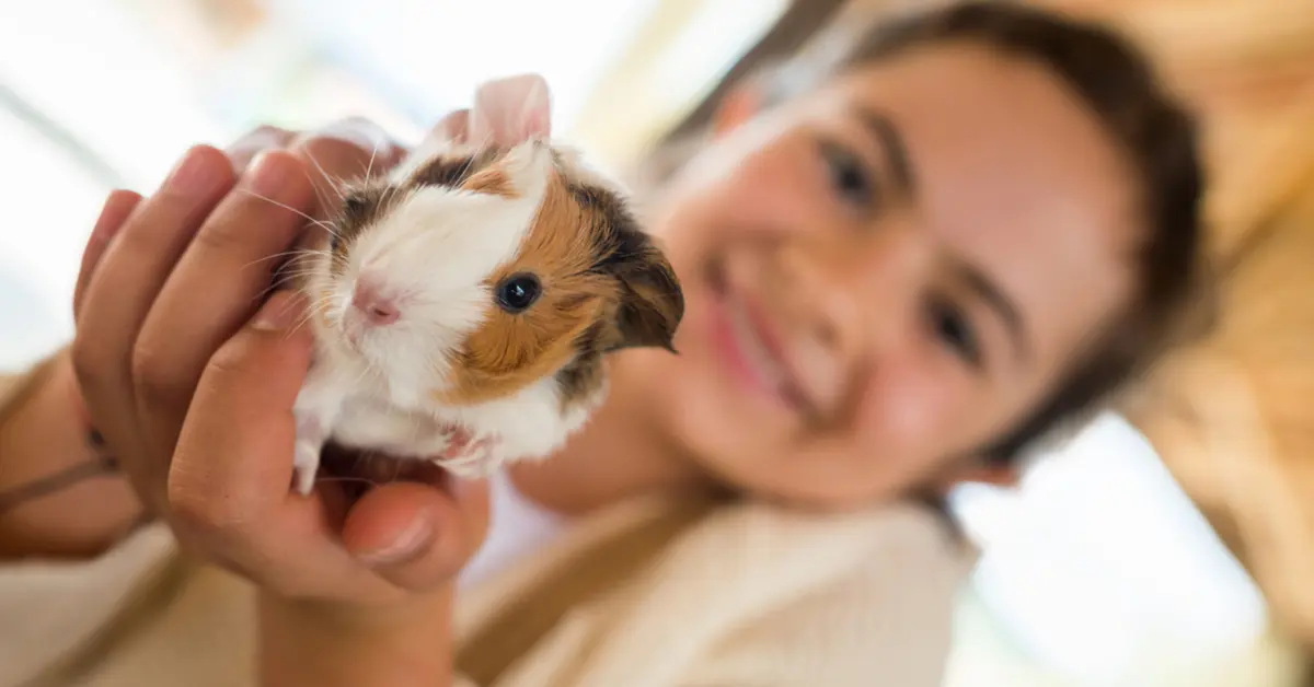 Pet Health